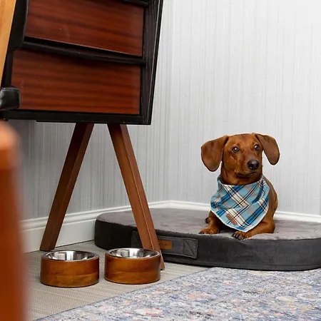 Hotel Muze - Handwritten Collection 4*