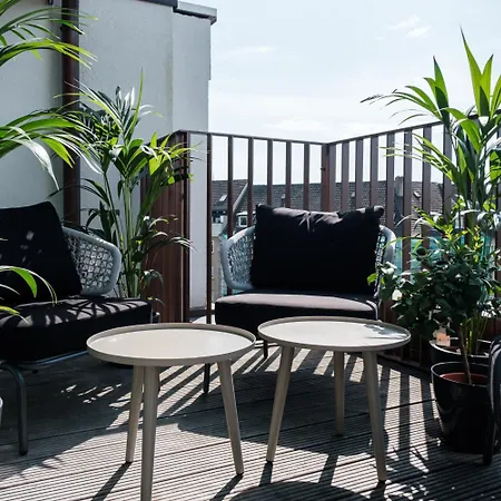 Muze - Handwritten Collection 4*