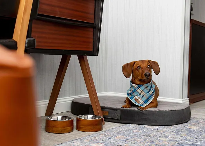 酒店 Muze - Handwritten Collection 4*