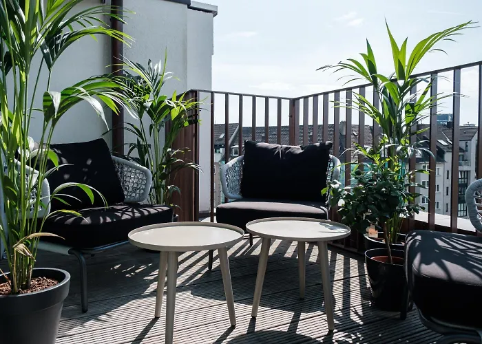 Muze - Handwritten Collection 4*