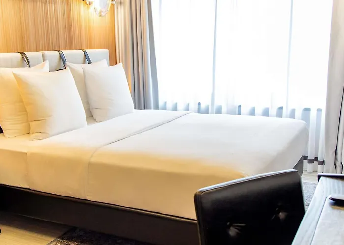 Muze - Handwritten Collection Hotel